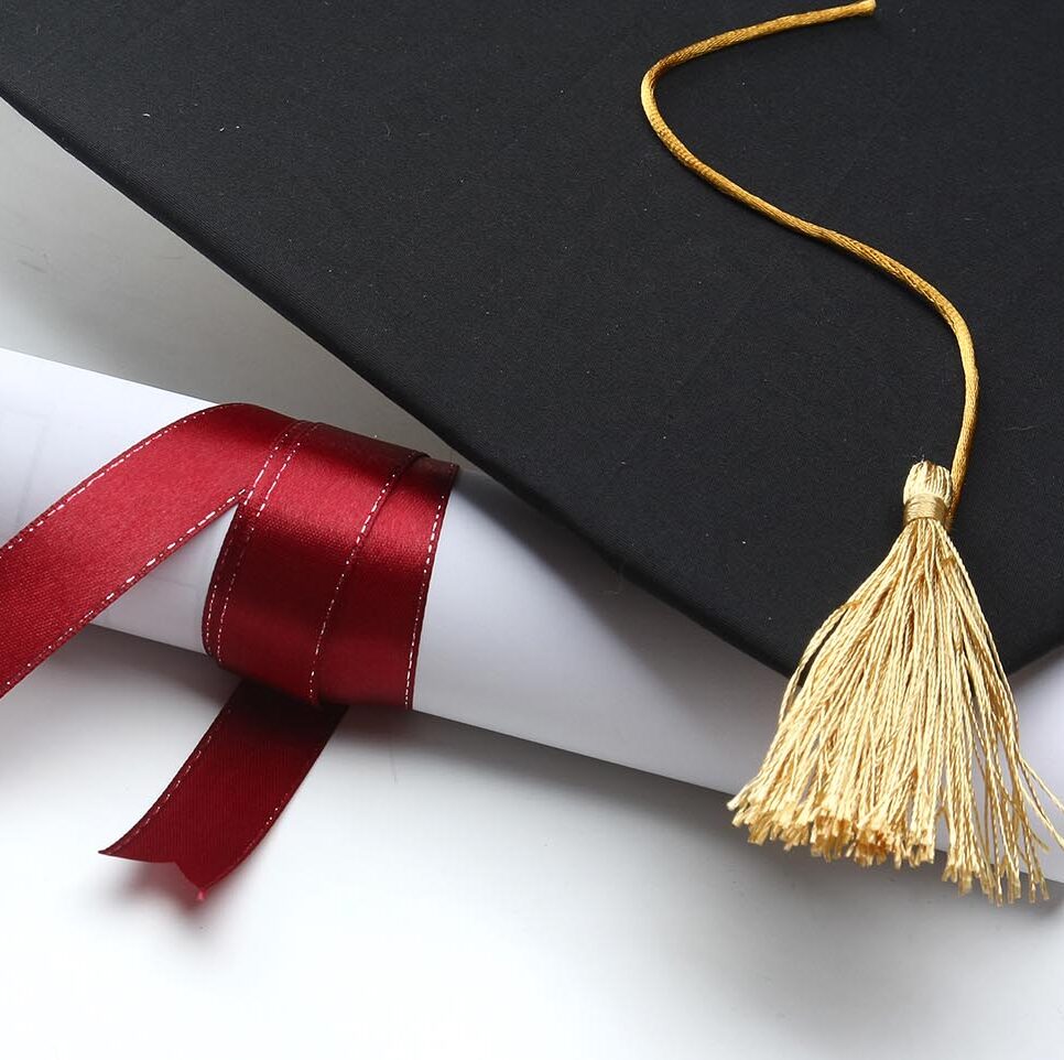 Gewinner der ÖGAI Dissertationspreise 2021